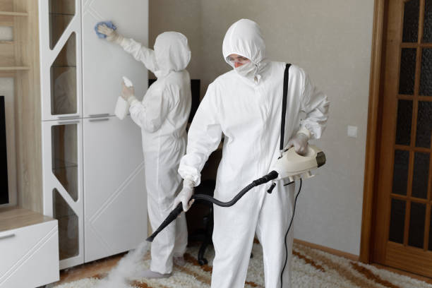 Best Mold Damage Repair  in Wytheville, VA